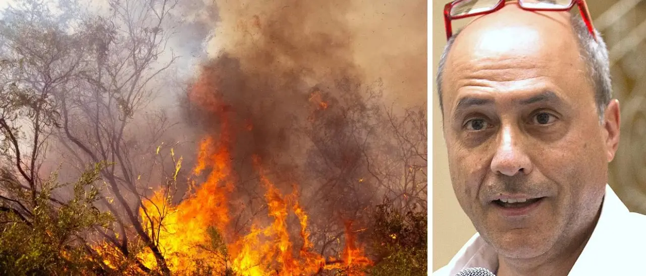 La Calabria brucia, Bevilacqua: «La storia dei gatti incendiari è una bufala, qui non si fa prevenzione»\n