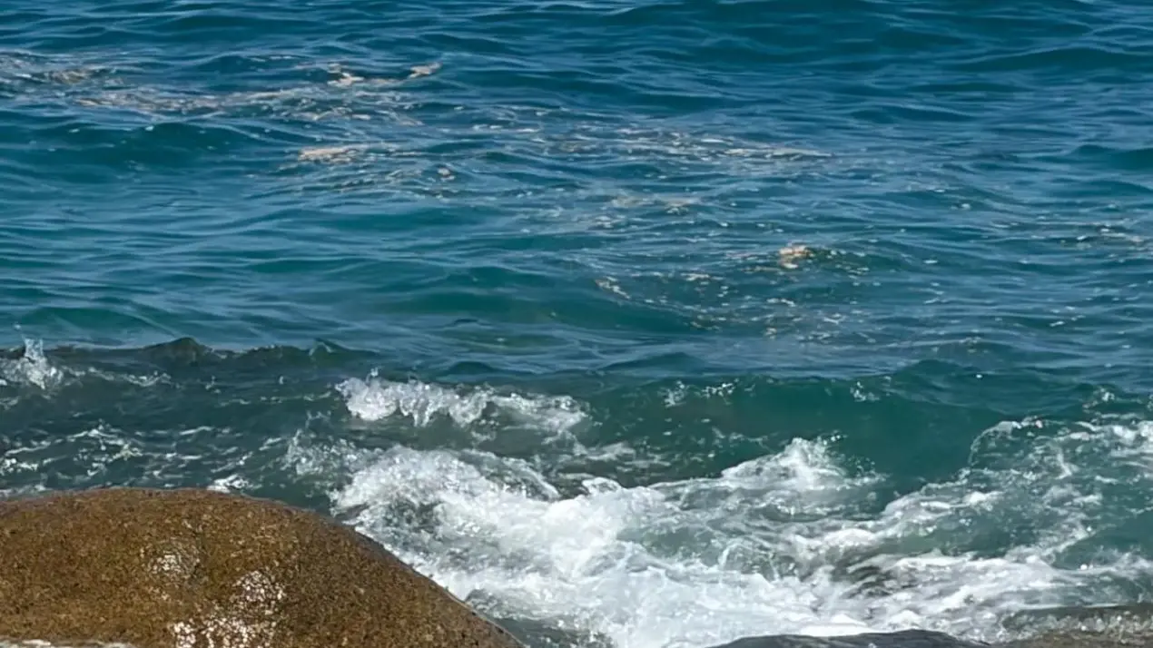 Mare a Parghelia in data 25 luglio 2026, foto Arpacal