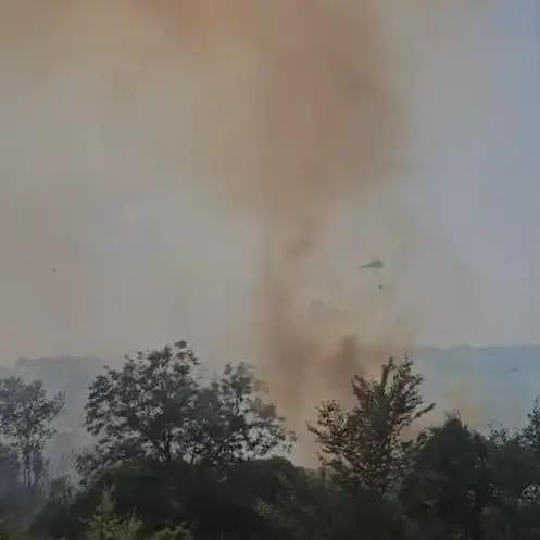 Rizziconi, vasto incendio minaccia le abitazioni: massiccio intervento dei Vigili del Fuoco\n