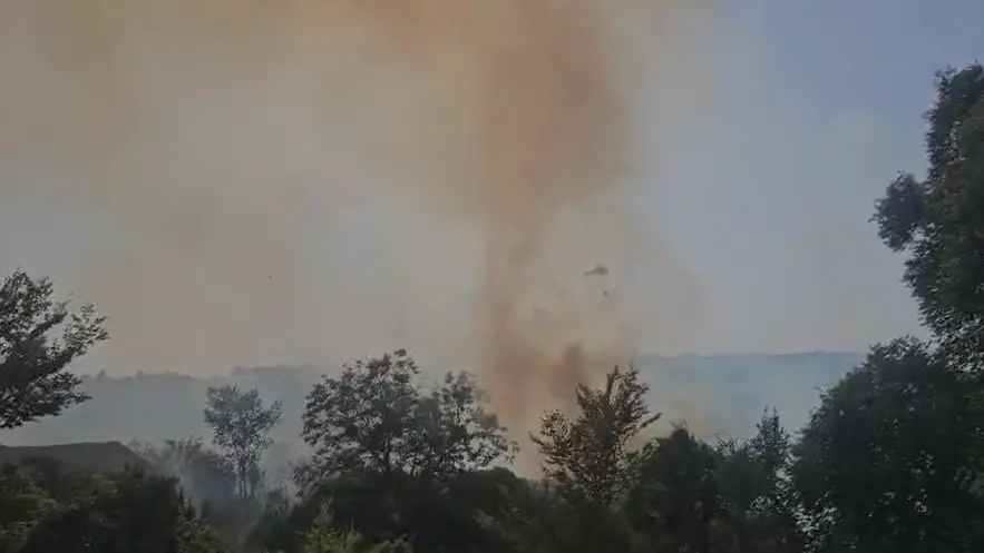 Rizziconi, vasto incendio minaccia le abitazioni: massiccio intervento dei Vigili del Fuoco\n