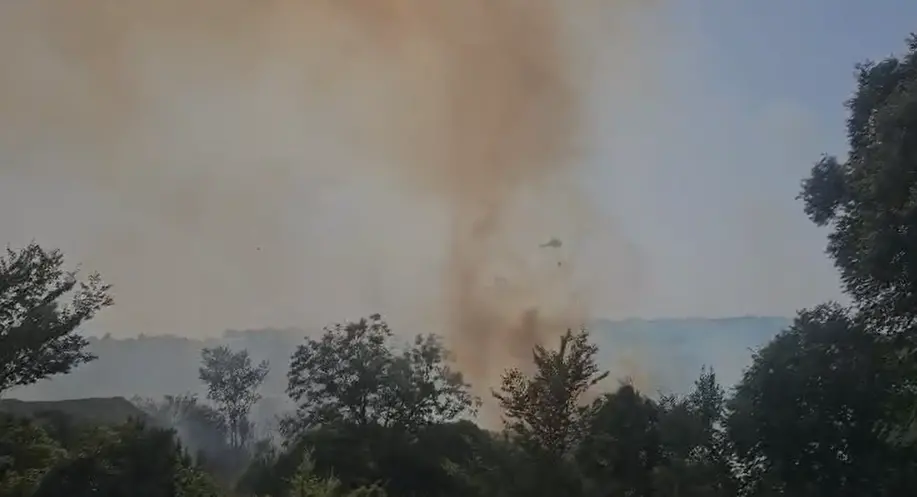 Rizziconi, vasto incendio minaccia le abitazioni: massiccio intervento dei Vigili del Fuoco\n