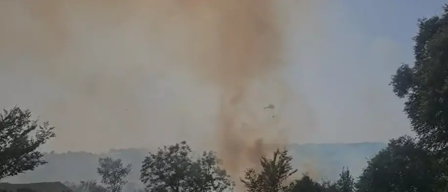Rizziconi, vasto incendio minaccia le abitazioni: massiccio intervento dei Vigili del Fuoco\n