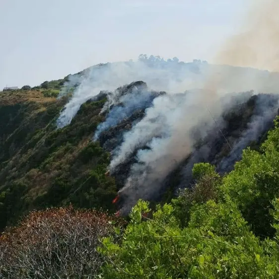 <p>Incendio a Zambrone, in fiamme il costone sottostante la stazione. Stop temporaneo ai treni</p>