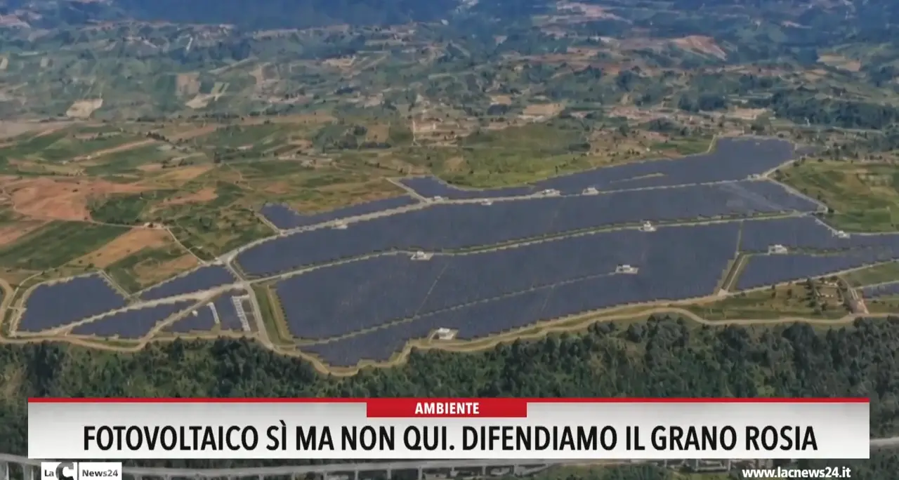 Fotovoltaico sì ma non qui. Difendiamo il grano Rosia