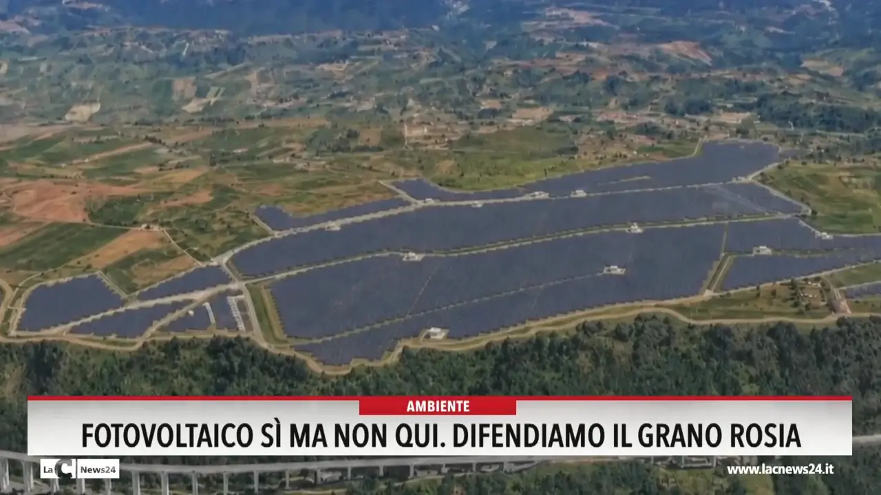 Fotovoltaico sì ma non qui. Difendiamo il grano Rosia