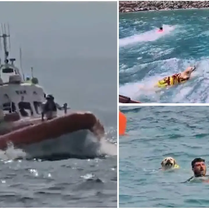 Cani eroi in mare con la guardia costiera: esercitazioni di soccorso sul litorale vibonese –\u00A0VIDEO\n