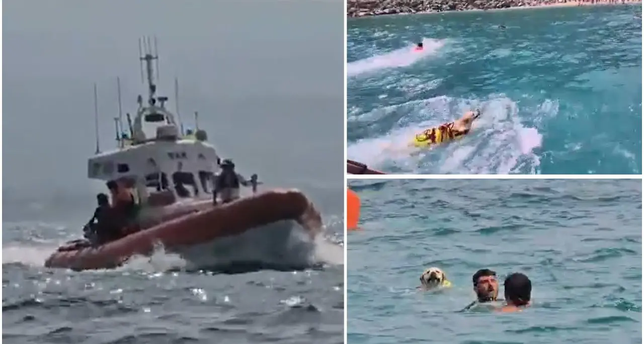 Cani eroi in mare con la guardia costiera: esercitazioni di soccorso sul litorale vibonese –\u00A0VIDEO\n