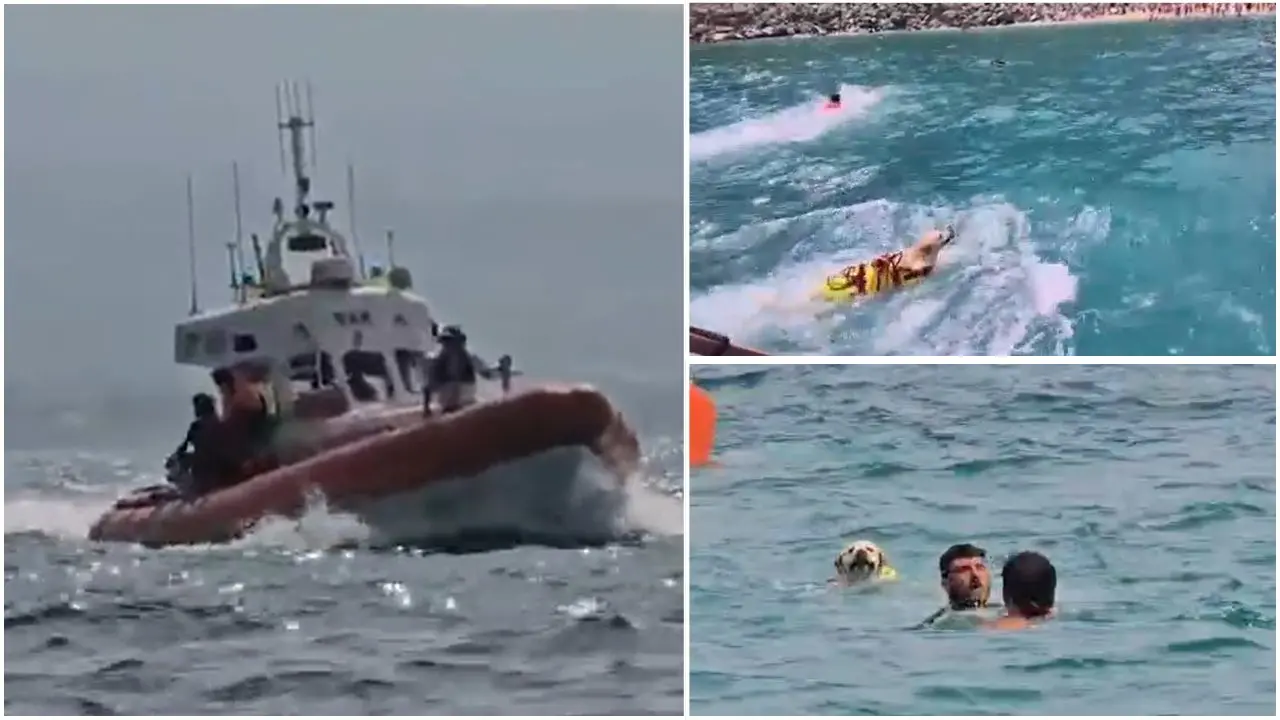 Cani eroi in mare con la guardia costiera: esercitazioni di soccorso sul litorale vibonese –\u00A0VIDEO\n