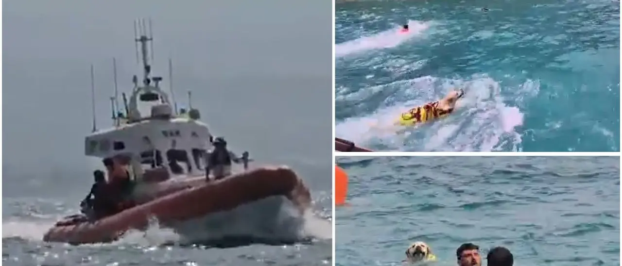 Cani eroi in mare con la guardia costiera: esercitazioni di soccorso sul litorale vibonese –\u00A0VIDEO\n