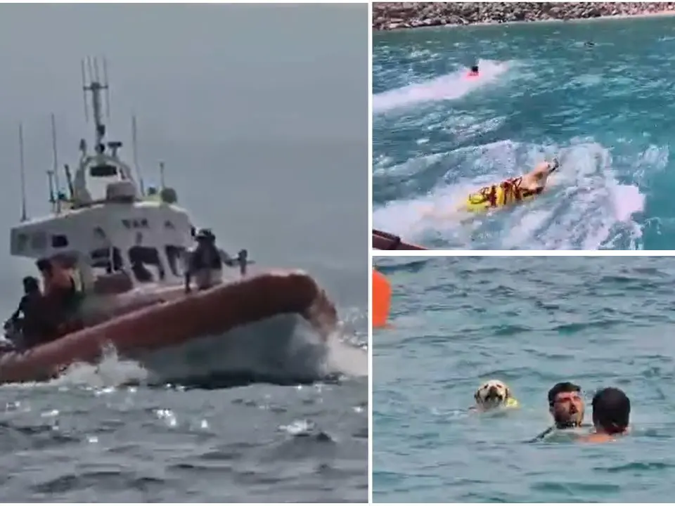 Cani eroi in mare con la guardia costiera: esercitazioni di soccorso sul litorale vibonese – VIDEO