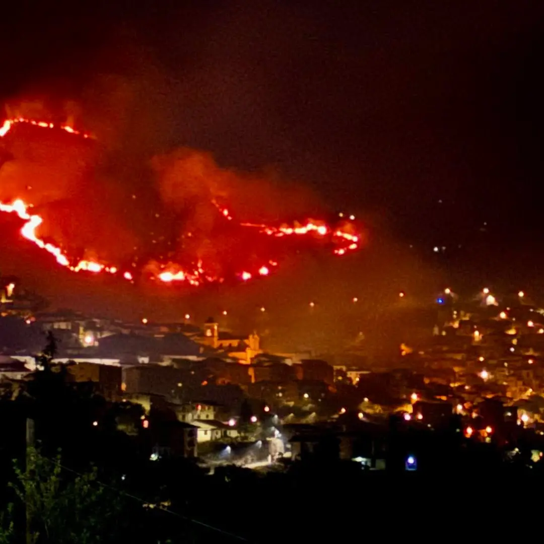 Incendi in Calabria, l’allarme arriva dal\u00A0satellite Copernicus: «Alto rischio ai primi di agosto»\n