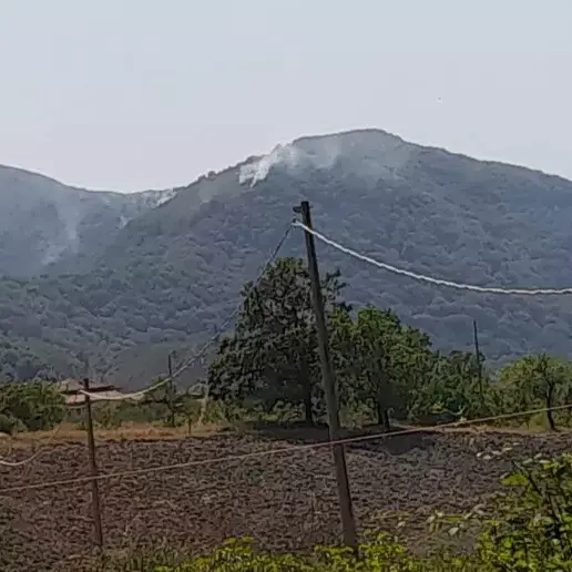 Sembrava spento, ma il fuoco torna a devastare il Pollino: riprende l'incendio nei boschi di Tortora\n