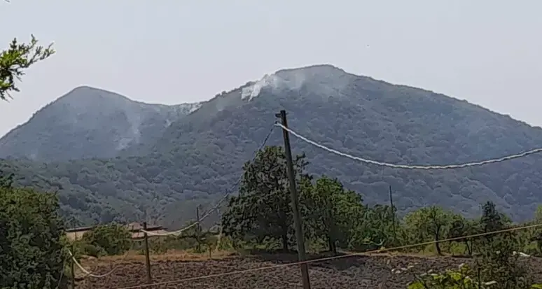 Sembrava spento, ma il fuoco torna a devastare il Pollino: riprende l'incendio nei boschi di Tortora\n
