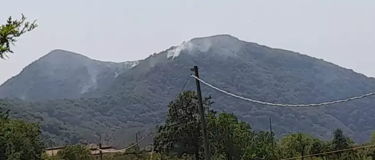 Sembrava spento, ma il fuoco torna a devastare il Pollino: riprende l'incendio nei boschi di Tortora\n