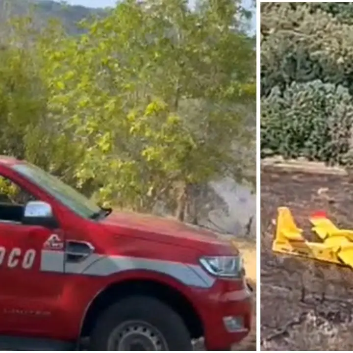 Vasto incendio a Piscopio, il rogo minaccia la vegetazione: vigili del fuoco e canadair in azione –\u00A0VIDEO\n