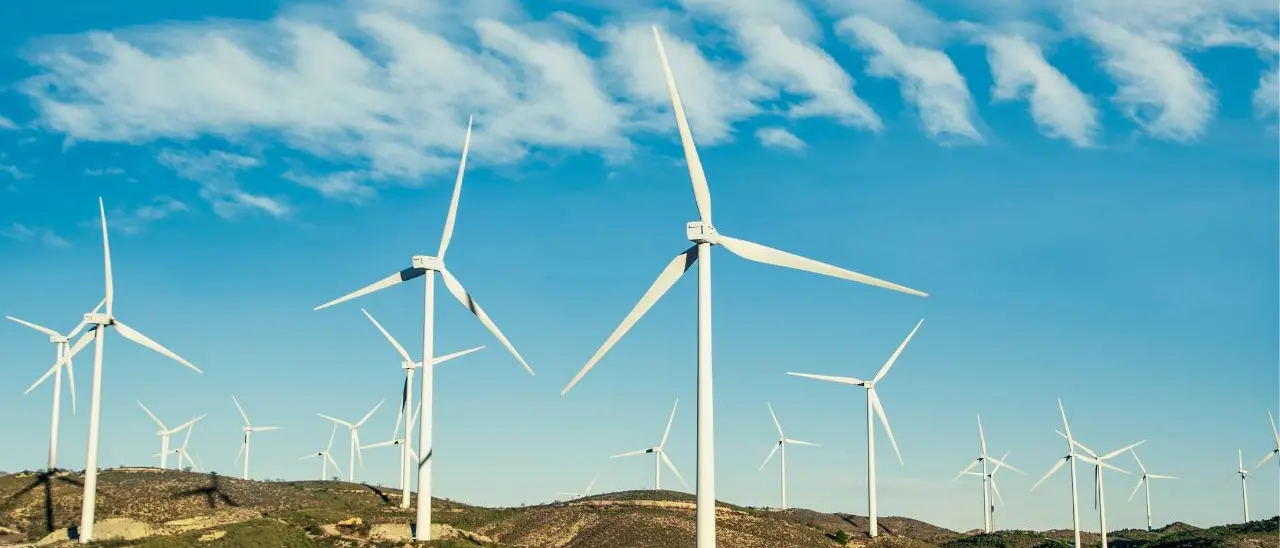 «No alle pale eoliche industriali»: il 2 agosto nelle Serre Calabresi una marcia per il territorio\n