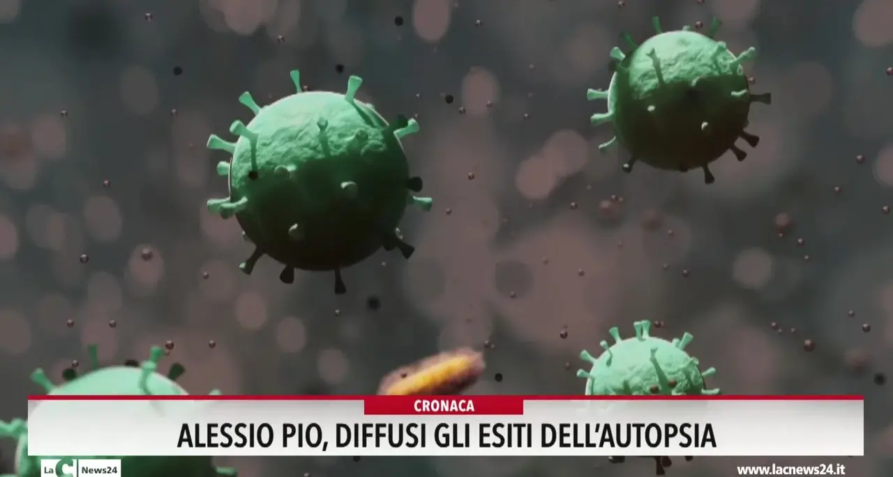 Alessio Pio, diffusi gli esiti dell'autopsia