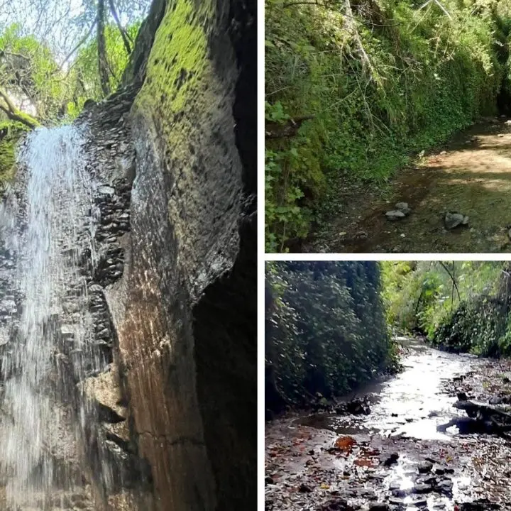 La Grotta dei mulini di Sant’Anna, il canyon segreto dove l’acqua nasconde una cascata tra gli ulivi\n