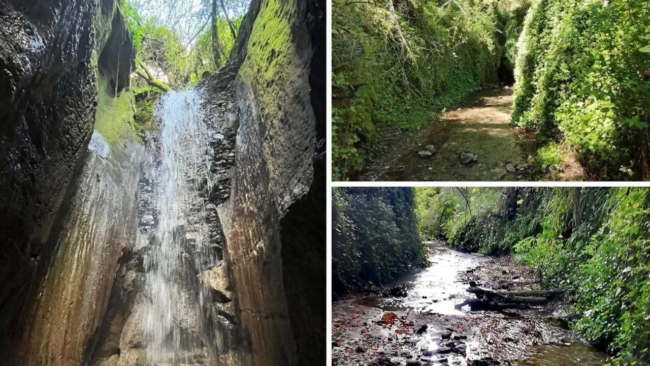 <p>La Grotta dei mulini di Sant’Anna, <span style=\"color:hsl(0, 75%, 60%);\">il canyon segreto</span> dove l’acqua nasconde una cascata tra gli ulivi</p>