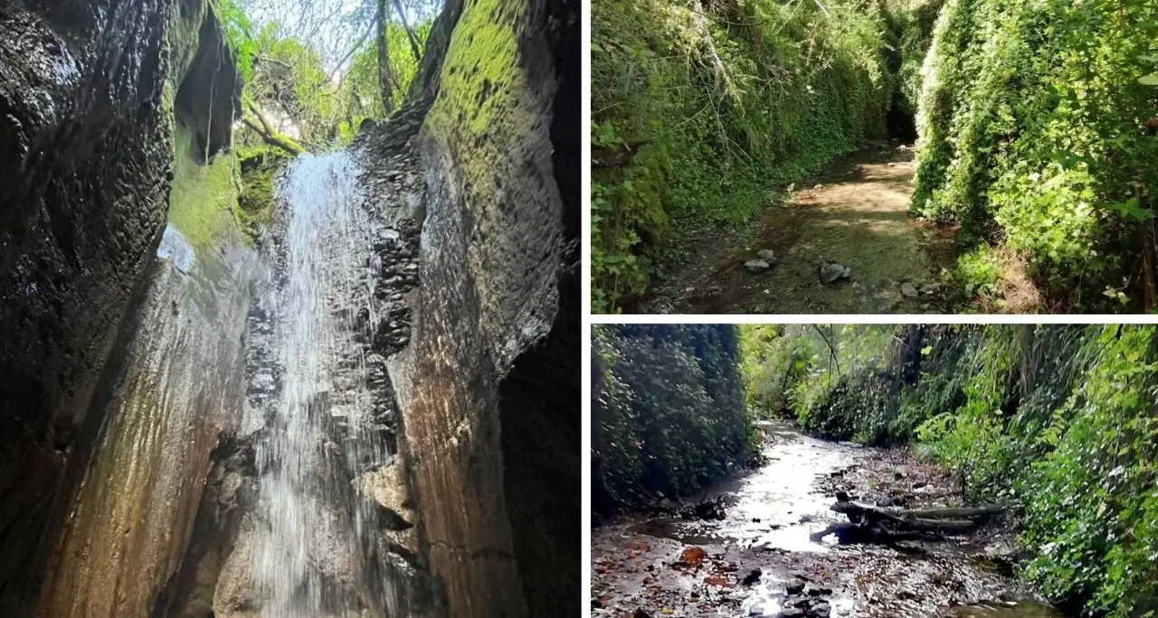 <p>La Grotta dei mulini di Sant’Anna, <span style=\"color:hsl(0, 75%, 60%);\">il canyon segreto</span> dove l’acqua nasconde una cascata tra gli ulivi</p>