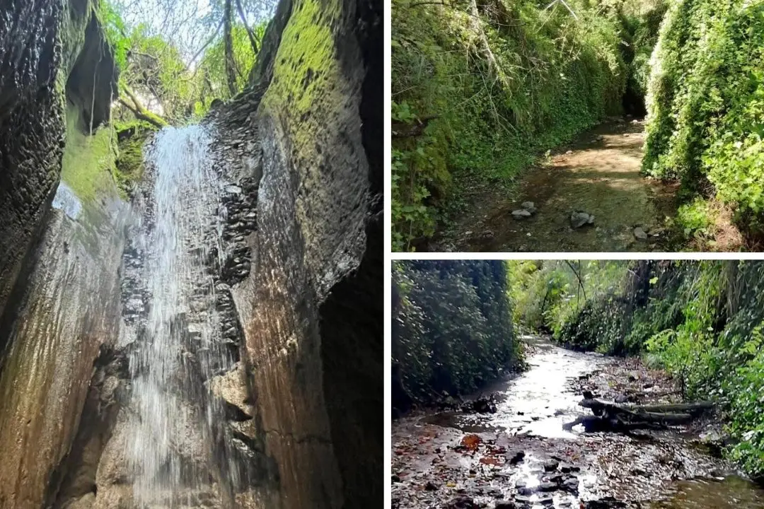 La Grotta dei mulini di Sant’Anna, il canyon segreto dove l’acqua nasconde una cascata tra gli ulivi\n