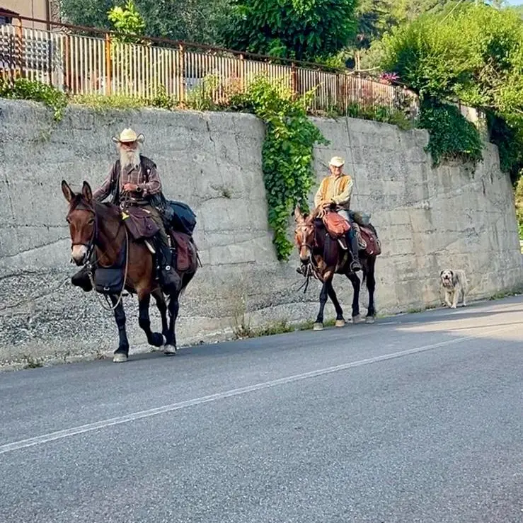 In sella ai muli, attraverso la Calabria: ecco il viaggio di Giuseppe e Paolo\n