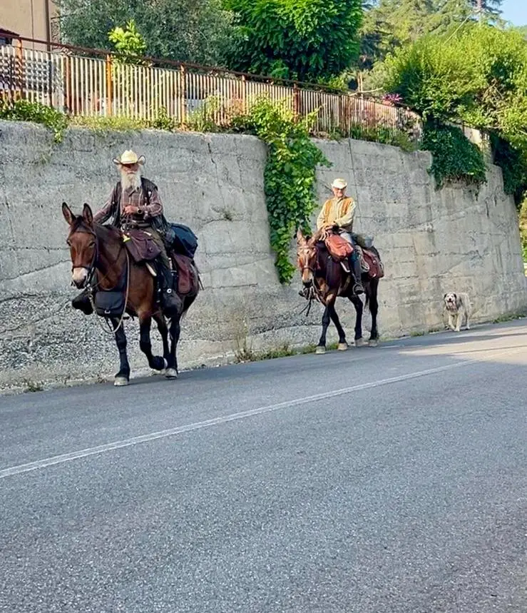 In sella ai muli, attraverso la Calabria: ecco il viaggio di Giuseppe e Paolo\n