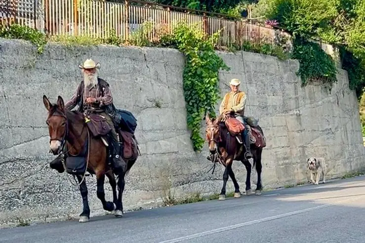 In sella ai muli, attraverso la Calabria: ecco il viaggio di Giuseppe e Paolo\n