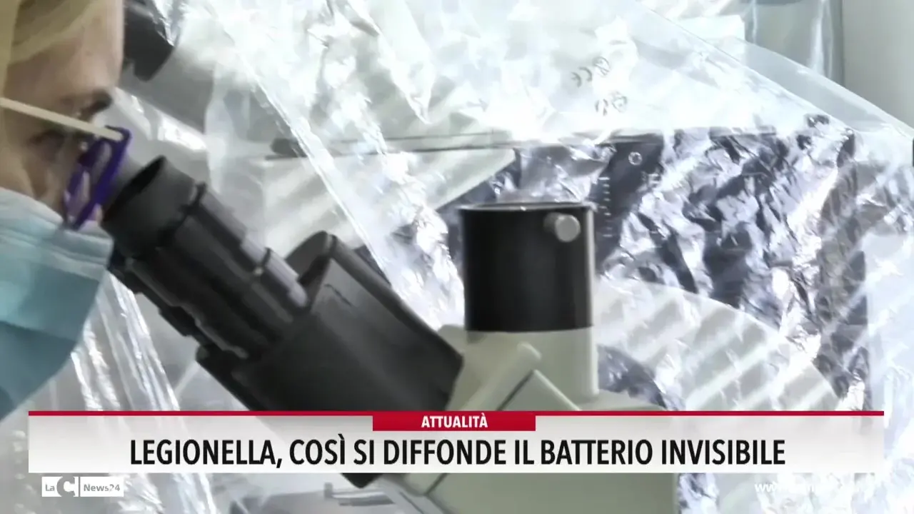 Legionella, così si diffonde il batterio invisibile