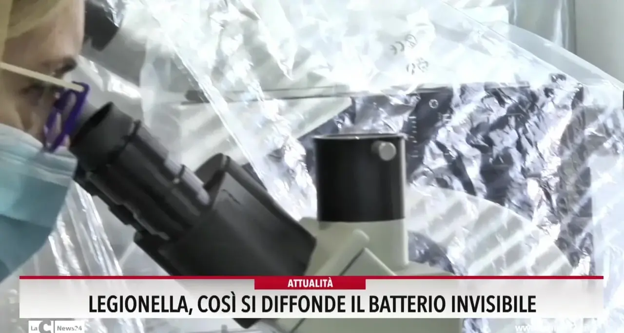 Legionella, così si diffonde il batterio invisibile