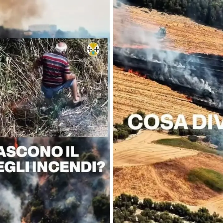 Incendi in Calabria, Occhiuto: «Continuate a segnalare e denunciare» -Video