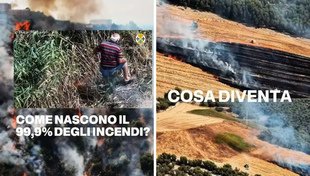 Incendi in Calabria, Occhiuto: «Continuate a segnalare e denunciare» -Video