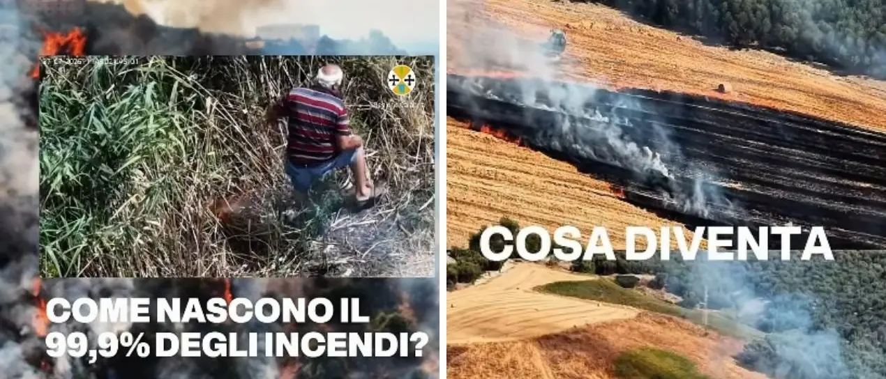 Incendi in Calabria, Occhiuto: «Continuate a segnalare e denunciare» -Video