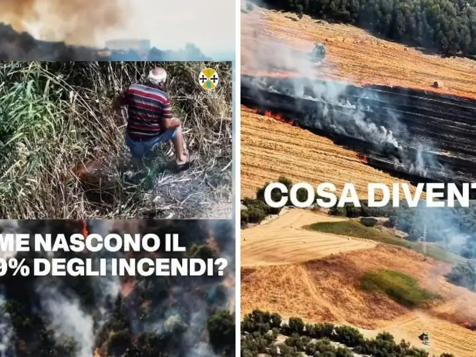Incendi in Calabria, Occhiuto: «Continuate a segnalare e denunciare» -Video