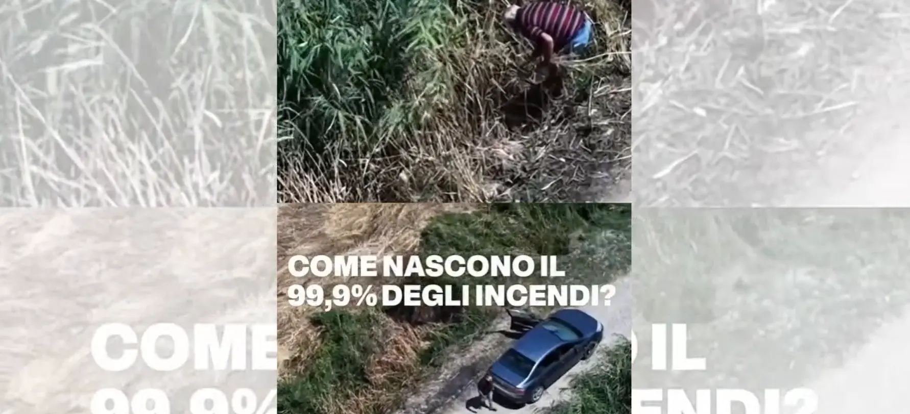 Incendi, Occhiuto sui social: «Chi ama la Calabria la difende»