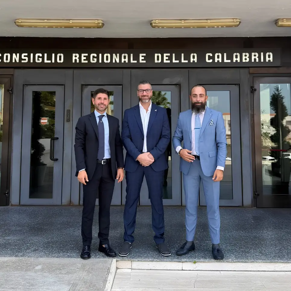 Fisioterapia in Calabria, gli Ordini professionali in audizione: «Più fisioterapisti nella sanità territoriale»\n