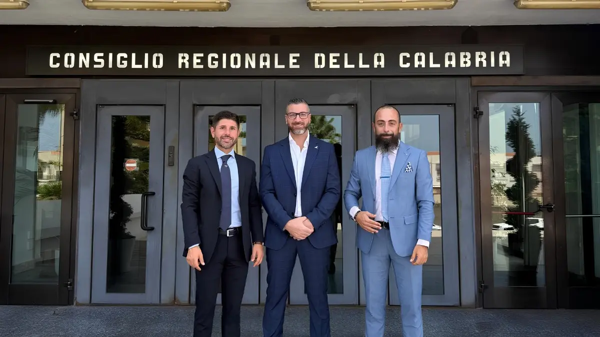 Fisioterapia in Calabria, gli Ordini professionali in audizione: «Più fisioterapisti nella sanità territoriale»\n