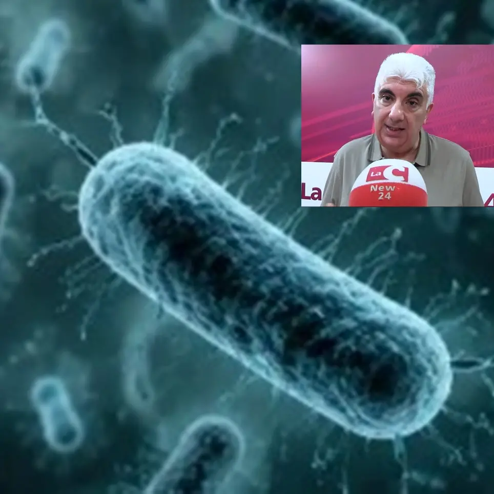 <p>Legionella a Reggio, Tripepi (Cnr): «Si annida in acque stagnanti e si trasmette per inalazione. Nessun allarme»</p>