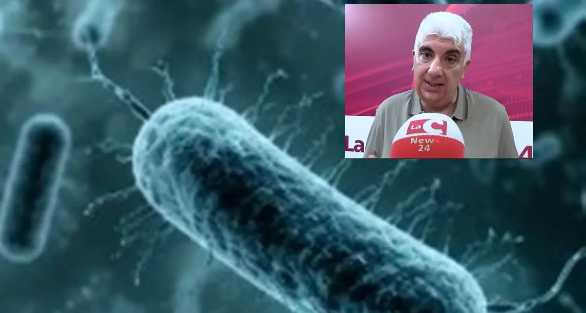 <p>Legionella a Reggio, Tripepi (Cnr): «Si annida in acque stagnanti e si trasmette per inalazione. Nessun allarme»</p>