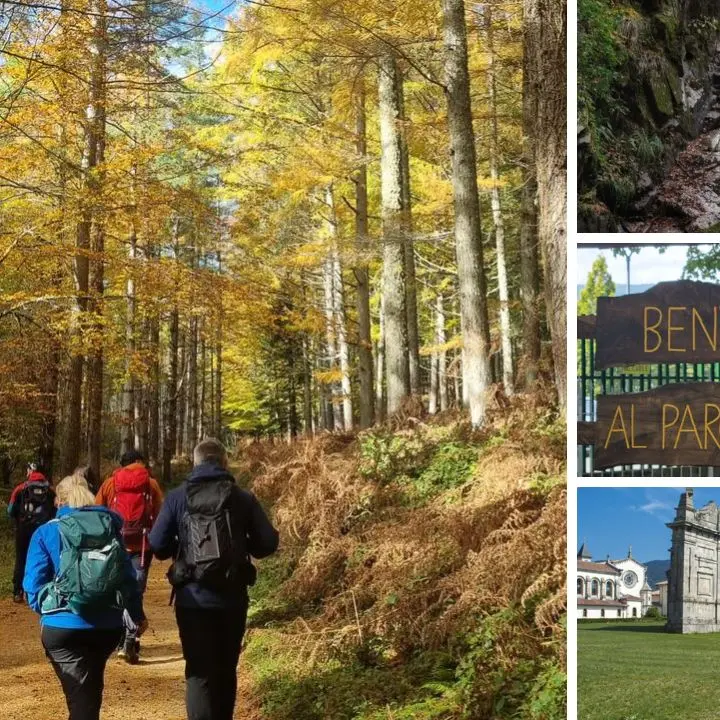 Il fumetto per celebrare uno dei posti più belli della Calabria: al via il contest di\u00A0illustrazioni dedicato al Parco delle Serre\n