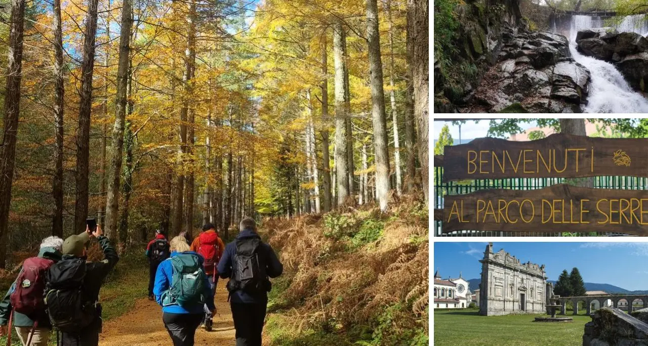 Il fumetto per celebrare uno dei posti più belli della Calabria: al via il contest di\u00A0illustrazioni dedicato al Parco delle Serre\n