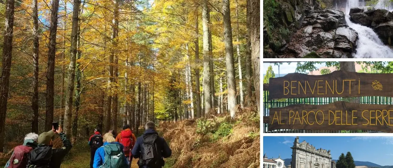 Il fumetto per celebrare uno dei posti più belli della Calabria: al via il contest di\u00A0illustrazioni dedicato al Parco delle Serre\n