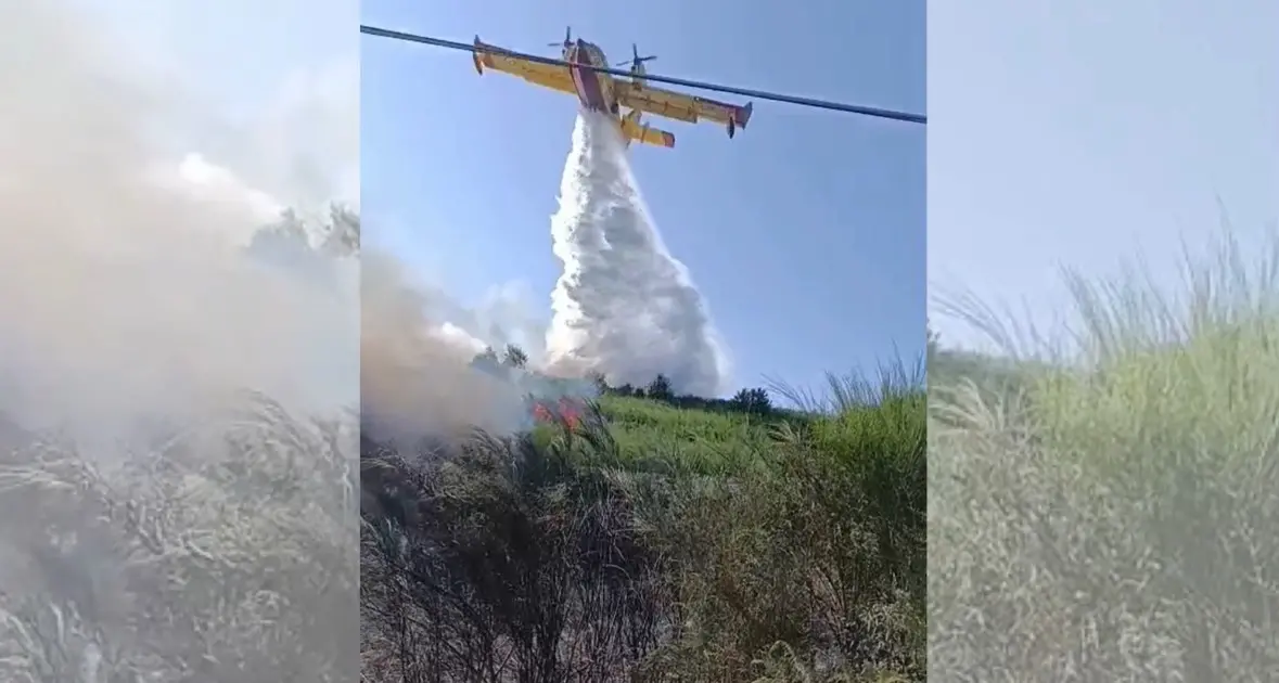 Vasto incendio di vegetazione a Lamezia, tre mezzi aerei al lavoro per spegnere le fiamme –\u00A0VIDEO\u00A0\n