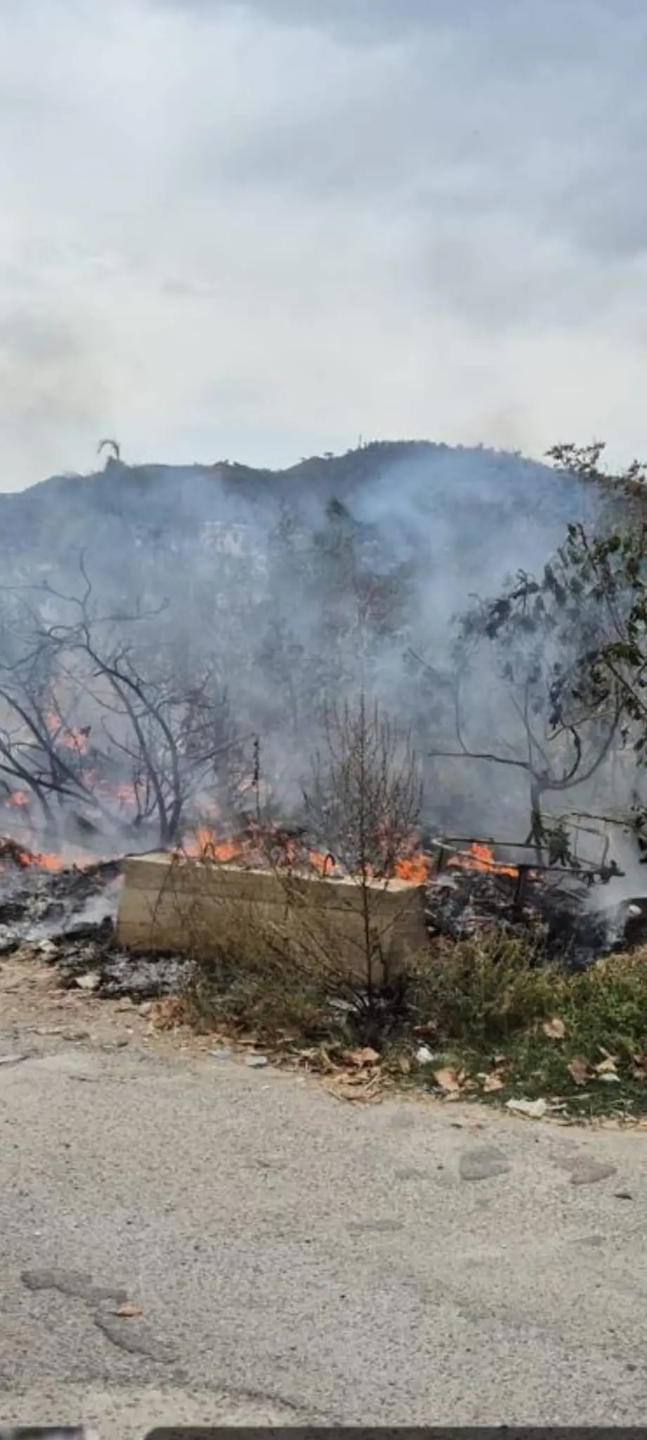 Reggio Calabria, brucia rifiuti in un terreno non suo: denunciato 91enne\n