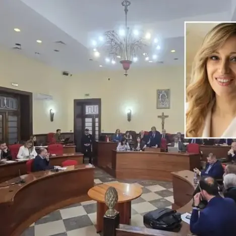 Comune di Vibo, il gruppo Pd cambia guida e avverte: «Chi non condivide le decisioni valuti altre scelte politiche»\n