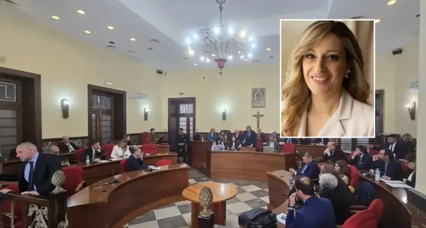 Comune di Vibo, il gruppo Pd cambia guida e avverte: «Chi non condivide le decisioni valuti altre scelte politiche»\n