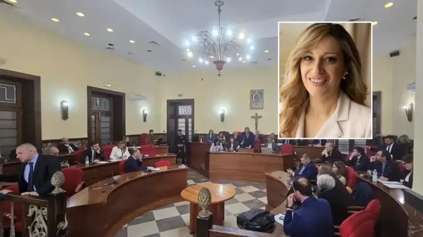 Comune di Vibo, il gruppo Pd cambia guida e avverte: «Chi non condivide le decisioni valuti altre scelte politiche»\n