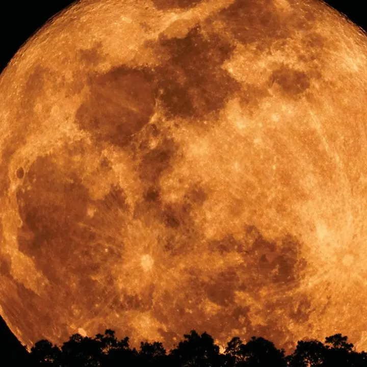 Arriva la Luna del cervo, il plenilunio di luglio illumina il cielo d’estate\n