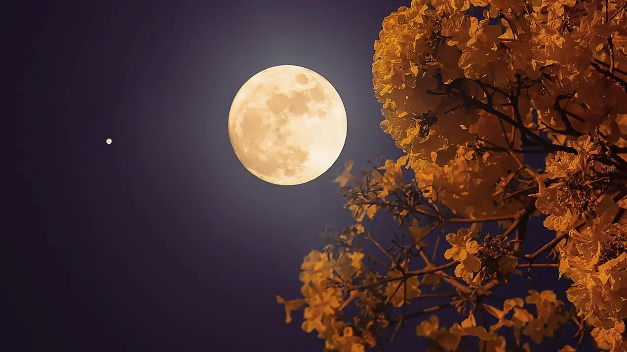 <p>Occhi puntati al cielo, arriva la Luna del cervo: il plenilunio di luglio illumina il cielo d’estate</p>