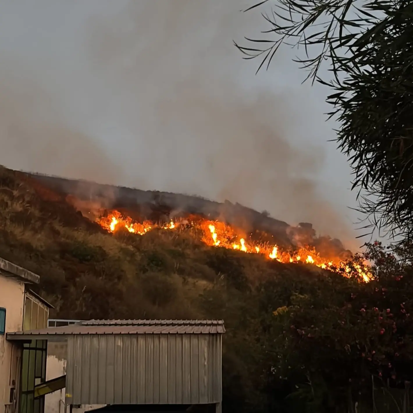 Incendio tra Diamante e Belvedere Marittimo, emergenza sul Tirreno: «Ore difficili per la Calabria»\n